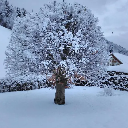 Apartment Haus Kieler