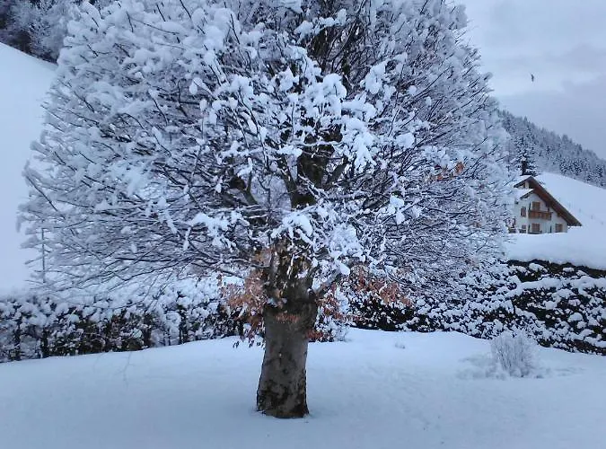 Апартаменти Haus Kieler